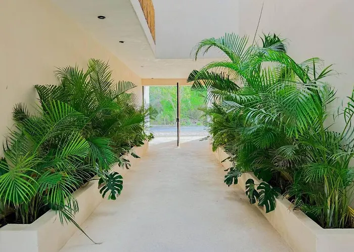 Increible Y Acogedor Estudio-agata 4 By Sandy Powerful Apartment *