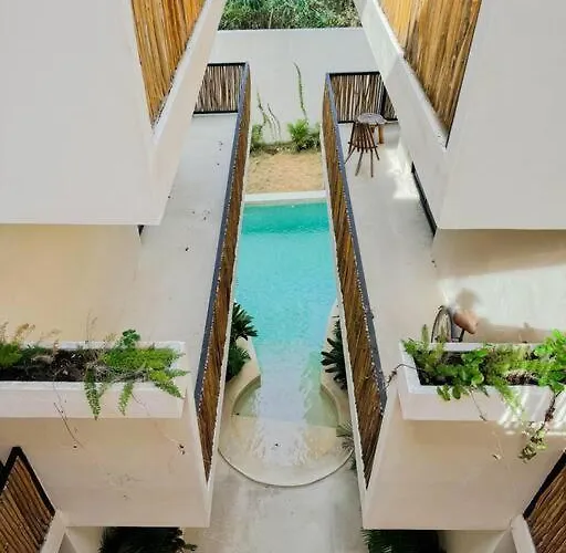 Apartment Increible Y Acogedor Estudio-agata 4 By Sandy Powerful Tulum